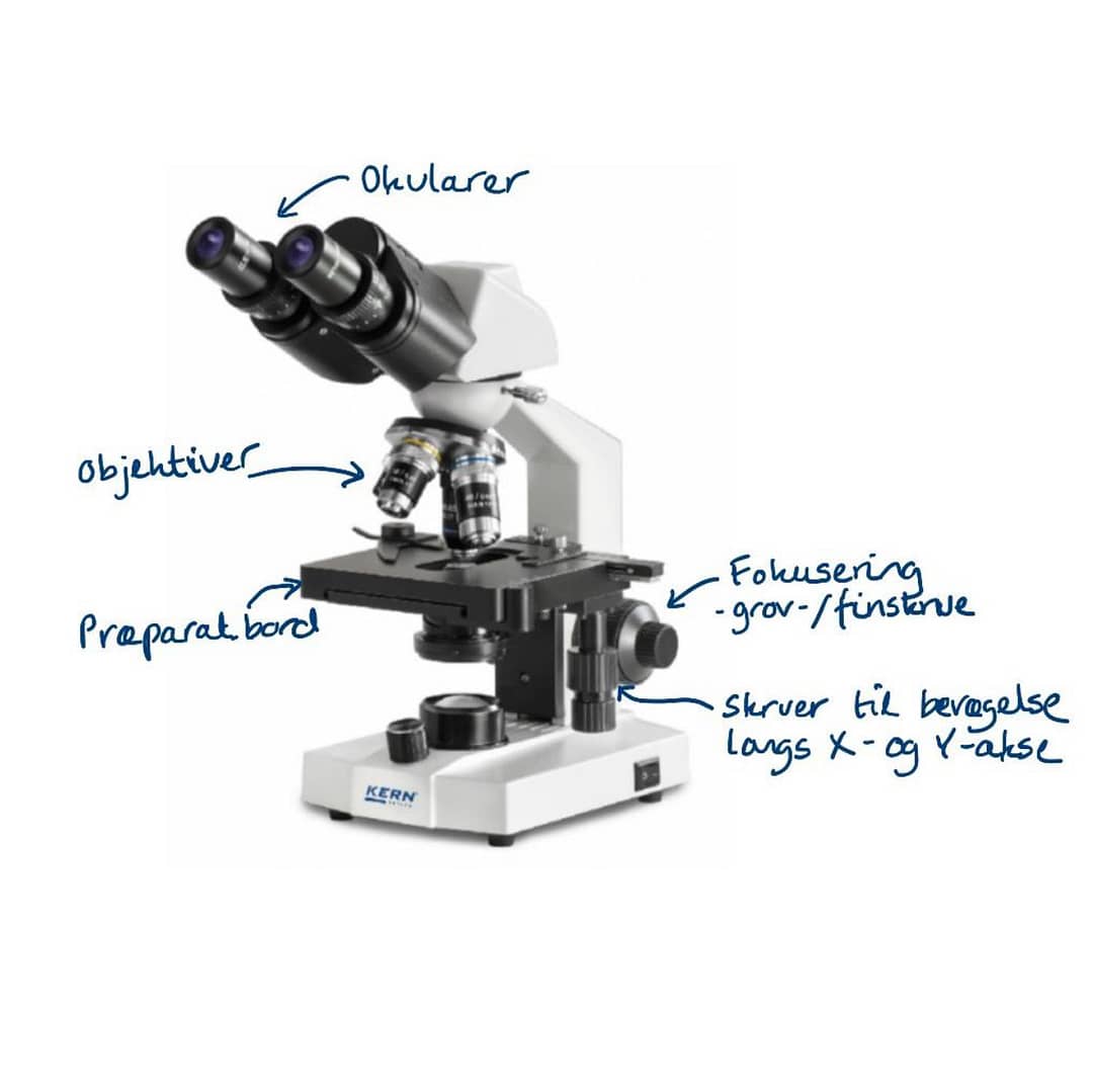 Mikroskopi i undervisningen Naturfagskonsulenten
